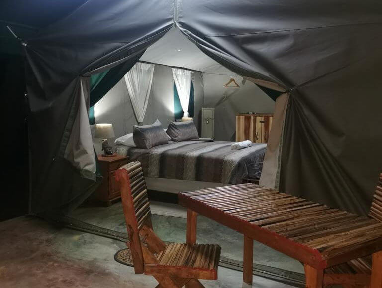 Camp_202
